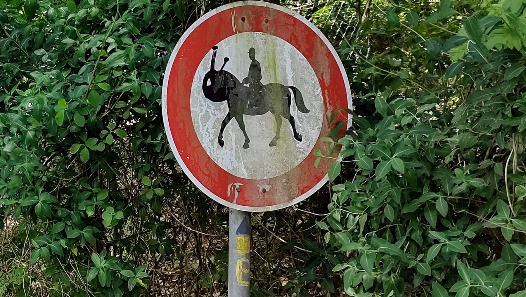 22-261654354021_IMG-20220603-121935543-HDR-1800