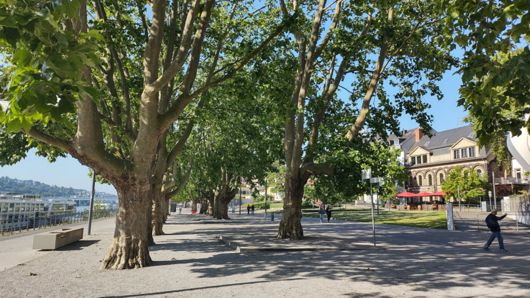 22endIMG-20220610-091526580-HDR-1800